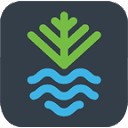 Napier City Council logo