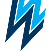 WEL Networks logo